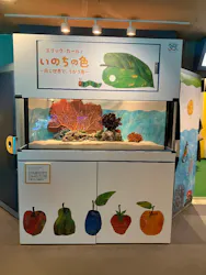 しながわ水族館に投稿された画像（2026/10/18）
