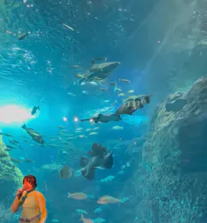新江ノ島水族館に投稿された画像（2026/10/18）