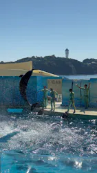 新江ノ島水族館に投稿された画像（2026/10/18）