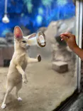 伊豆シャボテン動物公園に投稿された画像（2026/10/18）