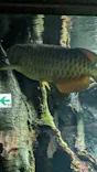 サンシャイン水族館に投稿された画像（2026/10/18）
