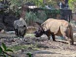 天王寺動物園に投稿された画像（2026/10/18）