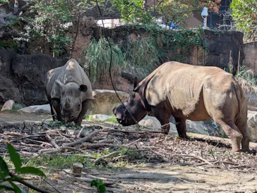 天王寺動物園に投稿された画像（2026/10/18）