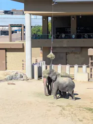 天王寺動物園に投稿された画像（2026/10/18）