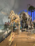 福井県立恐竜博物館に投稿された画像（2026/10/18）