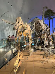 福井県立恐竜博物館に投稿された画像（2026/10/18）