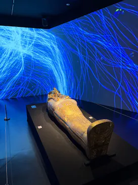 MYSTERY OF TUTANKHAMEN 体感型古代エジプト展に投稿された画像（2026/10/18）