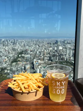 ハルカス300(展望台)に投稿された画像（2026/10/18）