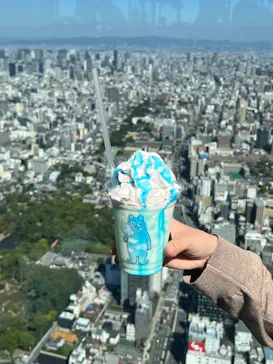 ハルカス300(展望台)に投稿された画像（2026/10/18）