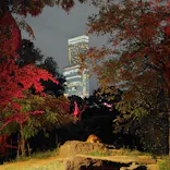 天王寺動物園に投稿された画像（2026/10/19）