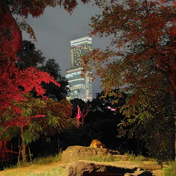 天王寺動物園に投稿された画像（2026/10/19）