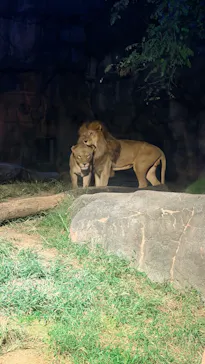 天王寺動物園に投稿された画像（2026/10/19）