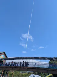 グリーンランドに投稿された画像（2026/10/19）