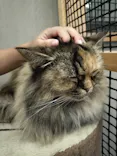しろとり動物園に投稿された画像（2026/10/19）