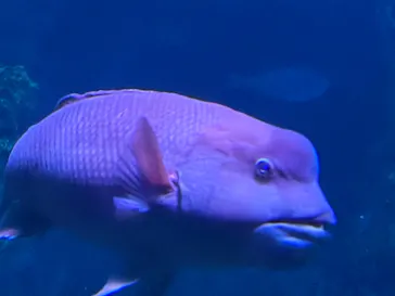 京都水族館に投稿された画像（2026/10/19）