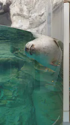 京都水族館に投稿された画像（2026/10/19）