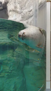 京都水族館に投稿された画像（2026/10/19）