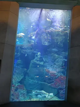 大分マリーンパレス水族館 「うみたまご」に投稿された画像（2026/10/19）
