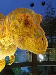 福井県立恐竜博物館に投稿された画像（2026/10/19）