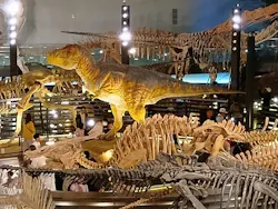 福井県立恐竜博物館に投稿された画像（2026/10/19）