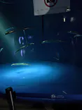 サンシャイン水族館に投稿された画像（2026/10/19）