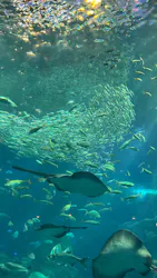 新江ノ島水族館に投稿された画像（2026/10/20）