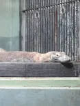 名古屋市東山動植物園に投稿された画像（2026/10/20）