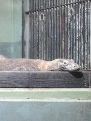 名古屋市東山動植物園に投稿された画像（2026/10/20）