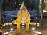福井県立恐竜博物館に投稿された画像（2026/10/20）