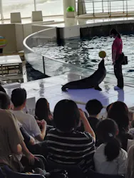 アクアワールド茨城県大洗水族館に投稿された画像（2026/10/20）
