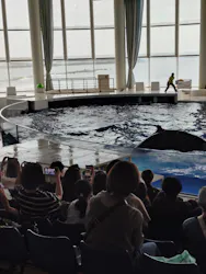 アクアワールド茨城県大洗水族館に投稿された画像（2026/10/20）