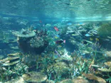名古屋港水族館に投稿された画像（2026/10/20）