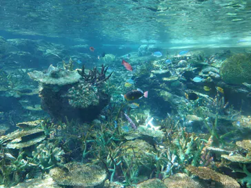 名古屋港水族館に投稿された画像（2026/10/20）