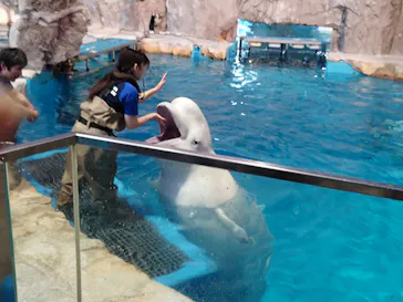 名古屋港水族館に投稿された画像（2026/10/20）