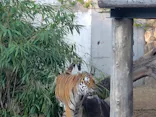 天王寺動物園に投稿された画像（2026/10/20）
