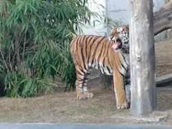 天王寺動物園に投稿された画像（2026/10/20）