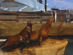 天王寺動物園に投稿された画像（2026/10/20）