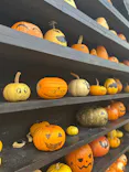 ひらかたパークに投稿された画像（2026/10/20）