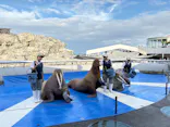 大分マリーンパレス水族館 「うみたまご」に投稿された画像（2026/10/20）
