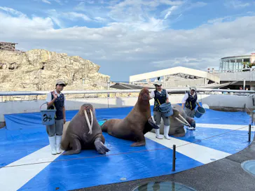 大分マリーンパレス水族館 「うみたまご」に投稿された画像（2026/10/20）