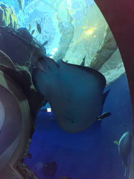 大分マリーンパレス水族館 「うみたまご」に投稿された画像（2026/10/20）