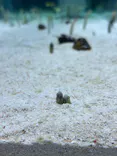 すみだ水族館に投稿された画像（2026/10/20）
