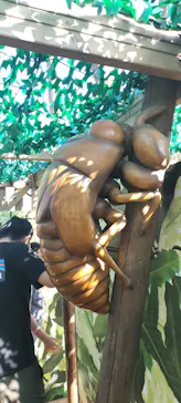 モビリティリゾートもてぎに投稿された画像（2026/10/20）