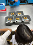 しながわ水族館に投稿された画像（2026/10/21）
