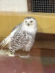 掛川花鳥園に投稿された画像（2026/10/20）