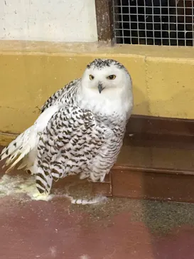 掛川花鳥園に投稿された画像（2026/10/20）