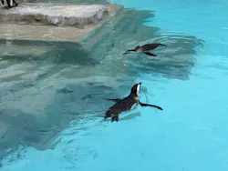 掛川花鳥園に投稿された画像（2026/10/20）