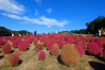 万博記念公園に投稿された画像（2026/10/20）