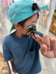 滋賀農業公園ブルーメの丘に投稿された画像（2026/10/21）