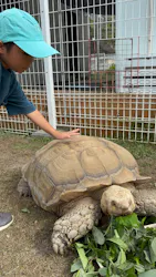 滋賀農業公園ブルーメの丘に投稿された画像（2026/10/21）